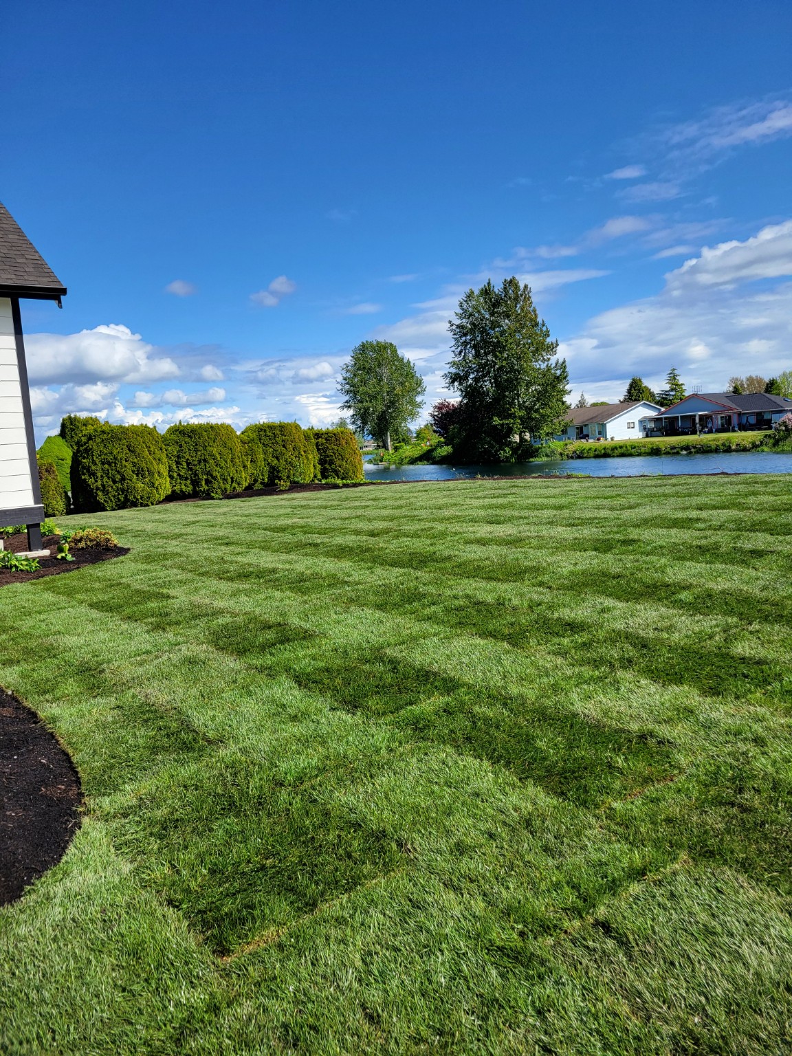 Finished green residential lawn
