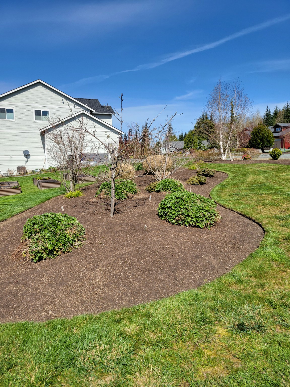 Landscape bed after fresh mulch installation