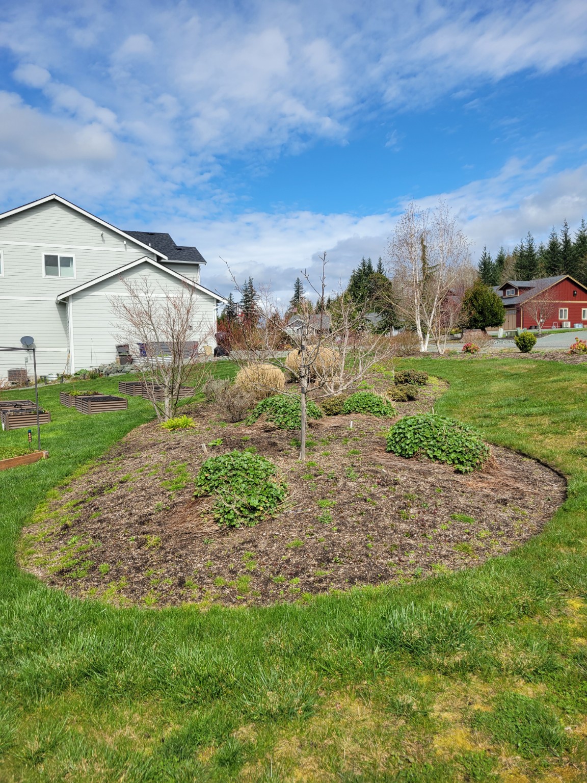 Landscape bed before mulch installation